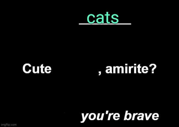 . | cats | made w/ Imgflip meme maker