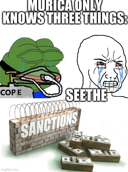 US foreign policy in one meme.  Since bombing and occupation don't work, we're left with cope, seethe, and sanction |  MURICA ONLY KNOWS THREE THINGS:; E; SEETHE | image tagged in copium,cry wojak | made w/ Imgflip meme maker