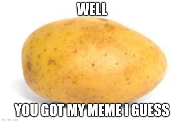 potatoe | WELL; YOU GOT MY MEME I GUESS | image tagged in potato | made w/ Imgflip meme maker