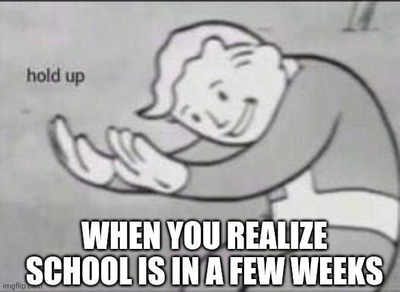 Fallout Hold Up | WHEN YOU REALIZE SCHOOL IS IN A FEW WEEKS | image tagged in fallout hold up | made w/ Imgflip meme maker