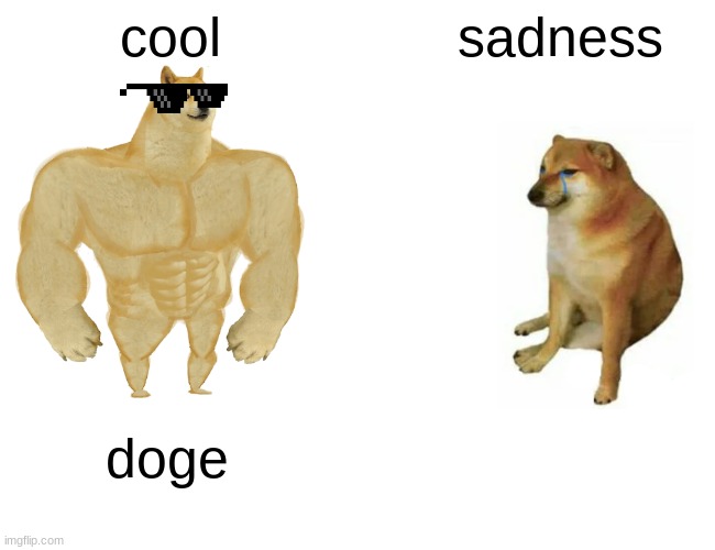 life | cool; sadness; doge | image tagged in memes,buff doge vs cheems | made w/ Imgflip meme maker