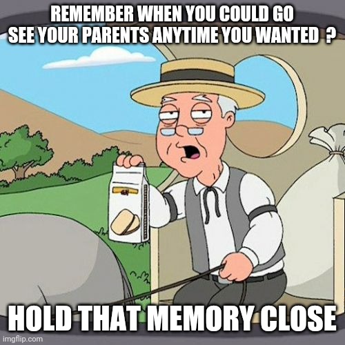 Pepperidge Farm Remembers | REMEMBER WHEN YOU COULD GO SEE YOUR PARENTS ANYTIME YOU WANTED  ? HOLD THAT MEMORY CLOSE | image tagged in memes,pepperidge farm remembers | made w/ Imgflip meme maker