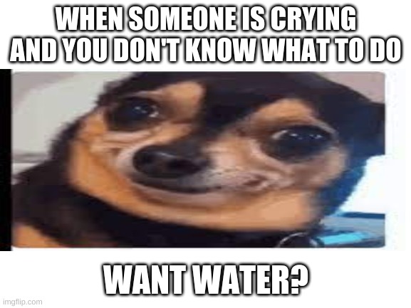 Water | WHEN SOMEONE IS CRYING AND YOU DON'T KNOW WHAT TO DO; WANT WATER? | image tagged in akward,oh wow are you actually reading these tags | made w/ Imgflip meme maker