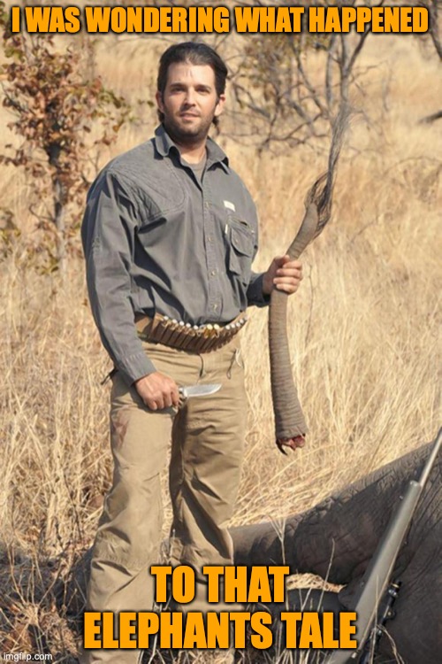donald trump jr | I WAS WONDERING WHAT HAPPENED TO THAT ELEPHANTS TALE | image tagged in donald trump jr | made w/ Imgflip meme maker