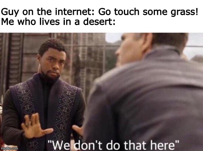 We dont do that here | Guy on the internet: Go touch some grass!
Me who lives in a desert: | image tagged in we dont do that here | made w/ Imgflip meme maker