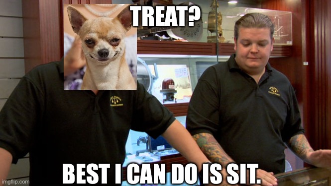 Dogs irl | TREAT? BEST I CAN DO IS SIT. | image tagged in pawn stars best i can do | made w/ Imgflip meme maker