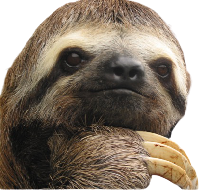 High Quality Motivational sloth transparent Blank Meme Template