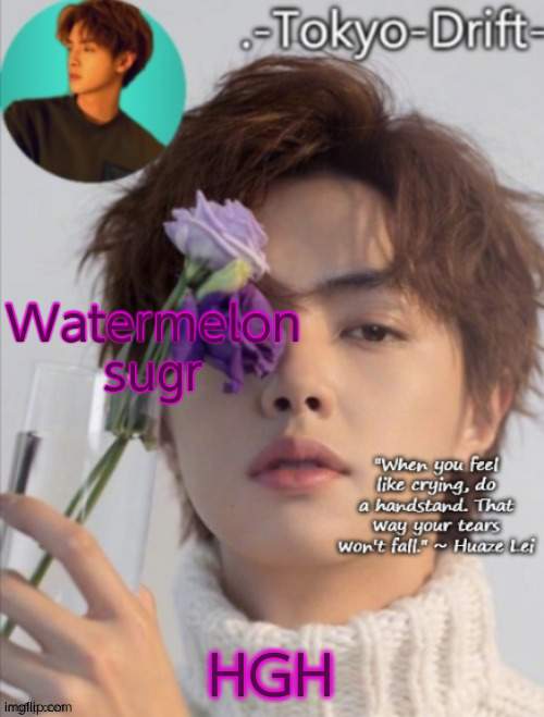 Huaze Lei temp (ty yachi) | Watermelon sugr; HGH | image tagged in huaze lei temp ty yachi | made w/ Imgflip meme maker