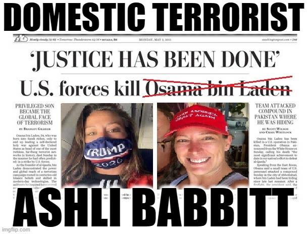 DOMESTIC TERRORIST | DOMESTIC TERRORIST; ASHLI BABBITT | image tagged in domestic terrorist,ashli babbitt,trump,traitor,disgrace,maga | made w/ Imgflip meme maker