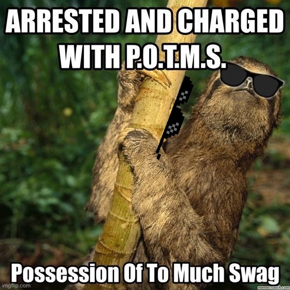 High Quality Sloth possession of too much swag Blank Meme Template
