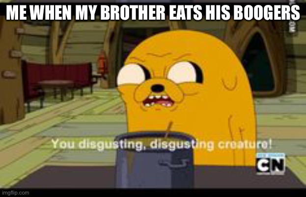 You disgust me | ME WHEN MY BROTHER EATS HIS BOOGERS | image tagged in brother,adventure time | made w/ Imgflip meme maker