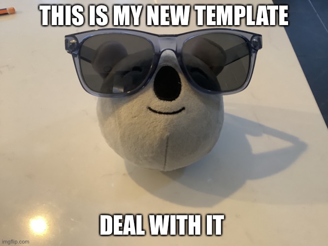 Deal with it bear | THIS IS MY NEW TEMPLATE; DEAL WITH IT | image tagged in deal with it bear | made w/ Imgflip meme maker