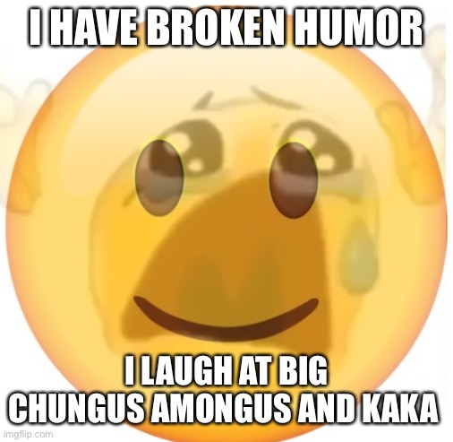 happy emoji on the outside, but crying on the inside | I HAVE BROKEN HUMOR; I LAUGH AT BIG CHUNGUS AMONGUS AND KAKA | image tagged in happy emoji on the outside but crying on the inside | made w/ Imgflip meme maker