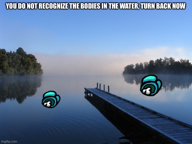 Amogus because I was too lazy to find “dead” bodies | YOU DO NOT RECOGNIZE THE BODIES IN THE WATER, TURN BACK NOW | image tagged in lake | made w/ Imgflip meme maker