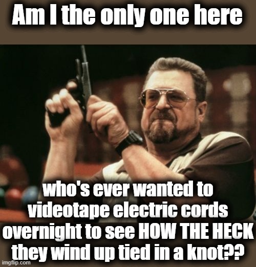Seriously! It just happened again today when I went to plug my razor in! | Am I the only one here; who's ever wanted to videotape electric cords overnight to see HOW THE HECK they wind up tied in a knot?? | image tagged in memes,am i the only one around here | made w/ Imgflip meme maker