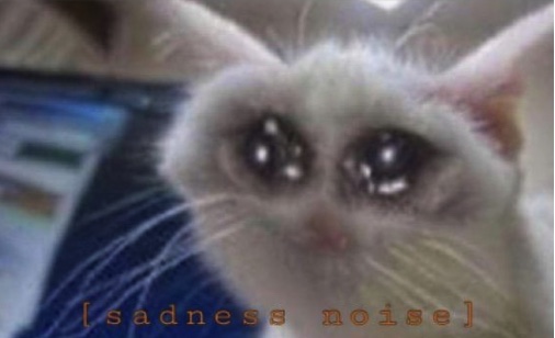 Mega sad cat Blank Meme Template