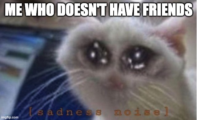Mega sad cat | ME WHO DOESN'T HAVE FRIENDS | image tagged in mega sad cat | made w/ Imgflip meme maker