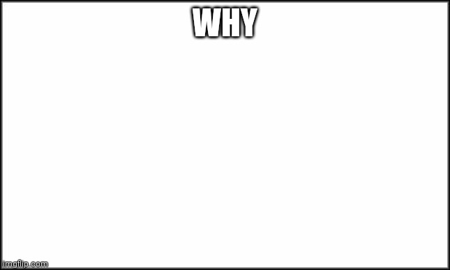 plain white | WHY | image tagged in plain white | made w/ Imgflip meme maker