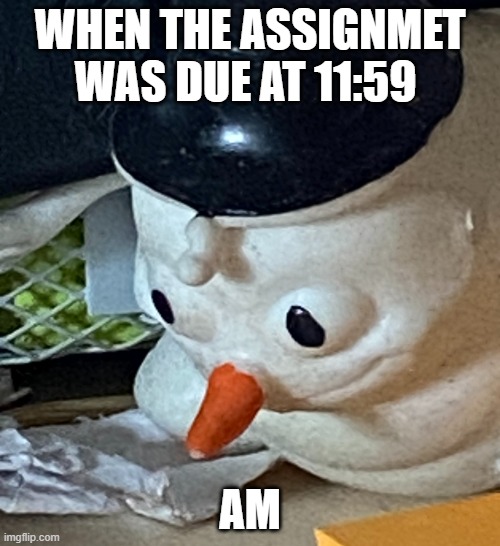 snowman | WHEN THE ASSIGNMET WAS DUE AT 11:59; AM | image tagged in snowman | made w/ Imgflip meme maker