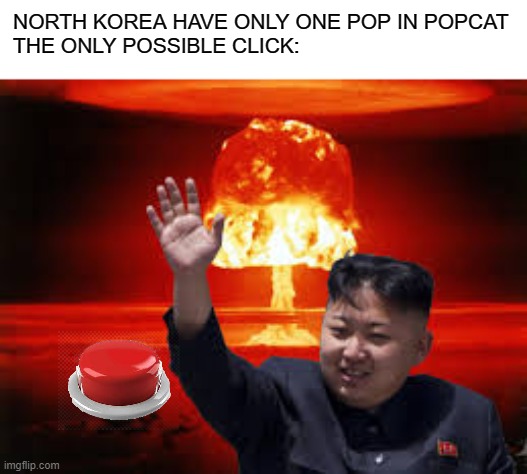 Popcat north korea