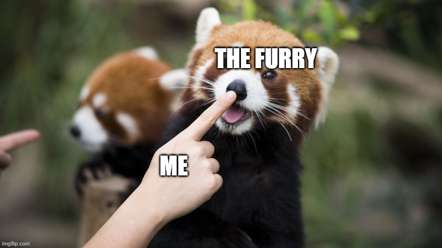 boop | ME THE FURRY | image tagged in boop | made w/ Imgflip meme maker