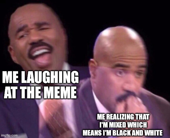 Steve Harvey Laughing Serious | ME LAUGHING AT THE MEME ME REALIZING THAT I'M MIXED WHICH MEANS I'M BLACK AND WHITE | image tagged in steve harvey laughing serious | made w/ Imgflip meme maker