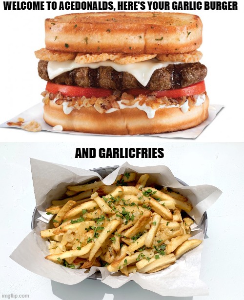 The most Ace thing I have ever seen and done xD | WELCOME TO ACEDONALDS, HERE'S YOUR GARLIC BURGER; AND GARLICFRIES | image tagged in lgbt,ace,memes,funny,asexual,garlic bread | made w/ Imgflip meme maker
