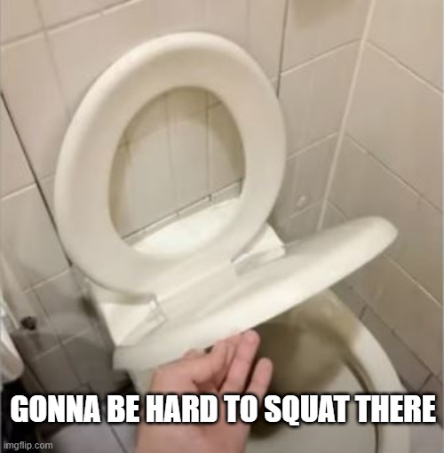 Pooping Aint Easy | GONNA BE HARD TO SQUAT THERE | image tagged in you had one job | made w/ Imgflip meme maker