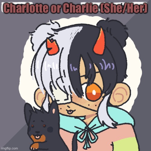 Charlotte or Charlie (She/Her) | made w/ Imgflip meme maker