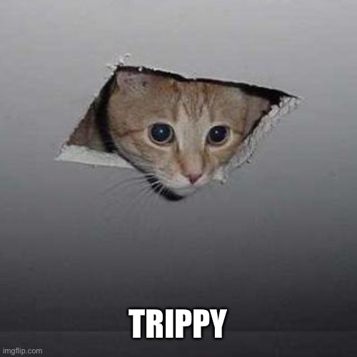Ceiling Cat Meme | TRIPPY | image tagged in memes,ceiling cat | made w/ Imgflip meme maker