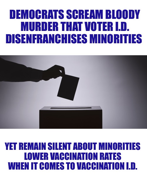 If it wasn’t for double standards, they wouldn’t have any standards at all! | DEMOCRATS SCREAM BLOODY MURDER THAT VOTER I.D. DISENFRANCHISES MINORITIES; YET REMAIN SILENT ABOUT MINORITIES 
LOWER VACCINATION RATES 
WHEN IT COMES TO VACCINATION I.D. | image tagged in ballot,vaccine | made w/ Imgflip meme maker