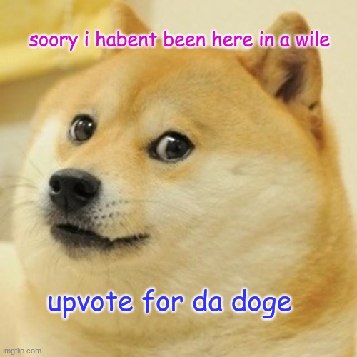 Doge Meme | soory i habent been here in a wile; upvote for da doge | image tagged in memes,doge | made w/ Imgflip meme maker