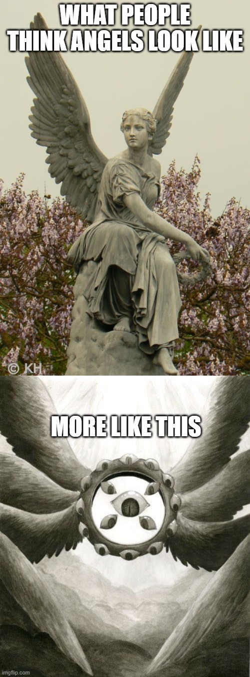 WHAT PEOPLE THINK ANGELS LOOK LIKE; MORE LIKE THIS | image tagged in realangels | made w/ Imgflip meme maker