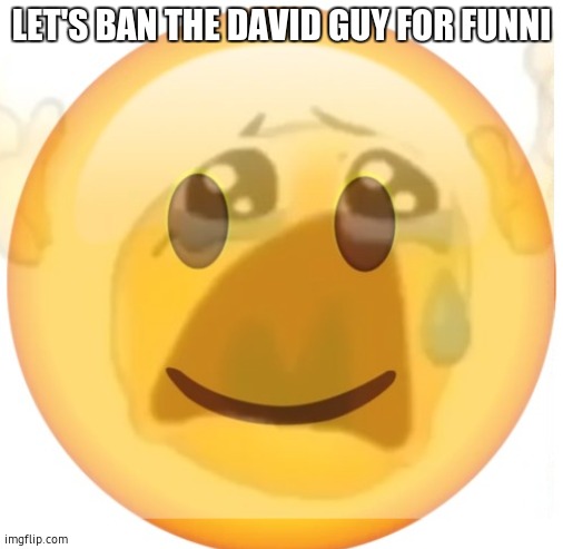 joke | LET'S BAN THE DAVID GUY FOR FUNNI | image tagged in happy emoji on the outside but crying on the inside | made w/ Imgflip meme maker