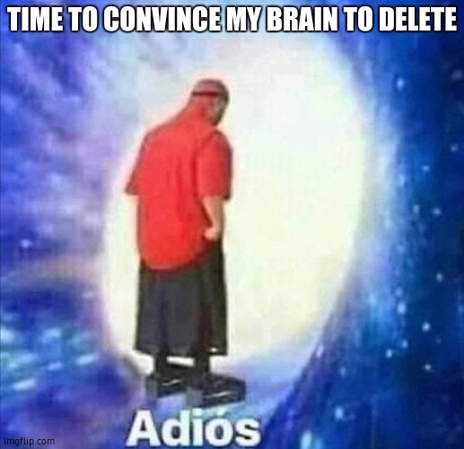 Adios | TIME TO CONVINCE MY BRAIN TO DELETE | image tagged in adios | made w/ Imgflip meme maker