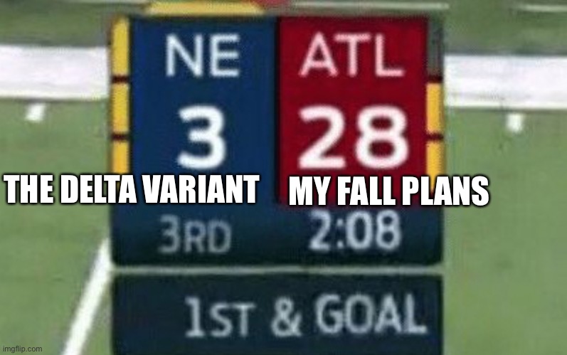My fall plans | THE DELTA VARIANT; MY FALL PLANS | image tagged in nfl memes | made w/ Imgflip meme maker
