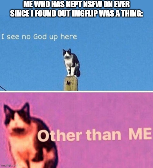 Hail pole cat | ME WHO HAS KEPT NSFW ON EVER SINCE I FOUND OUT IMGFLIP WAS A THING: | image tagged in hail pole cat | made w/ Imgflip meme maker