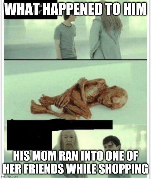 memes of you're mom | WHAT HAPPENED TO HIM; HIS MOM RAN INTO ONE OF HER FRIENDS WHILE SHOPPING | image tagged in let it rest | made w/ Imgflip meme maker