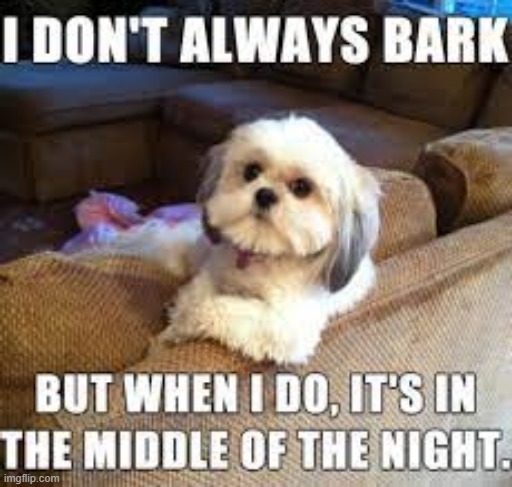 I don't always bark in the middle of the night | made w/ Imgflip meme maker