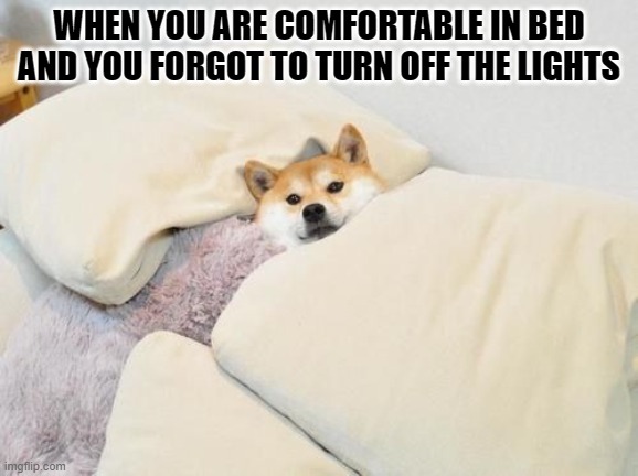 WHEN YOU ARE COMFORTABLE IN BED AND YOU FORGOT TO TURN OFF THE LIGHTS | image tagged in sleep | made w/ Imgflip meme maker