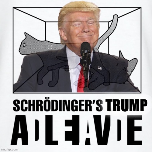 Schrödinger’s Trump is as likely to be President again as he is to spend the rest of his life in prison. Who can say? Only time! | image tagged in schrodinger s trump,quantum physics,physics,trump,trump for president,trump for prison | made w/ Imgflip meme maker