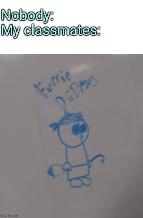 Btw rhus had nothing to do with me being a furry.(Madness Combat) | Nobody:
My classmates: | image tagged in blank white template | made w/ Imgflip meme maker