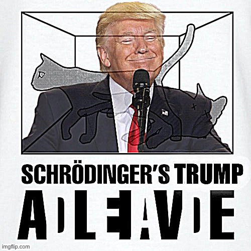 Schrödinger’s Trump is as likely to be President again as he is to spend the rest of his life in prison. Who can say? Only time! | image tagged in schrodinger s trump | made w/ Imgflip meme maker