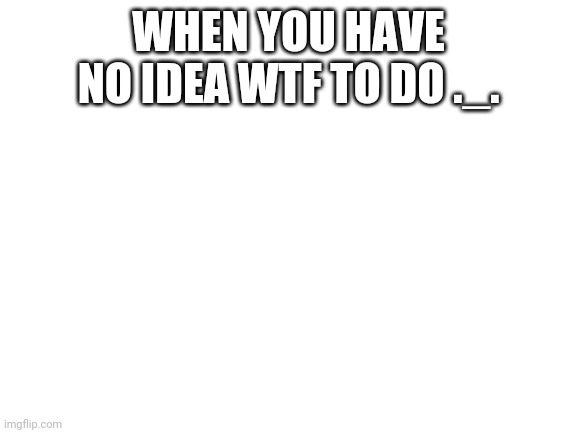 Blank White Template | WHEN YOU HAVE NO IDEA WTF TO DO ._. | image tagged in blank white template | made w/ Imgflip meme maker