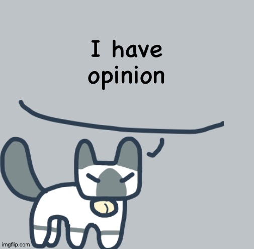 Guys I said it | I have opinion | image tagged in cat | made w/ Imgflip meme maker