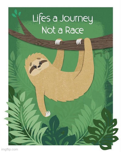 Sloth lifes a journey not a race | image tagged in sloth lifes a journey not a race | made w/ Imgflip meme maker