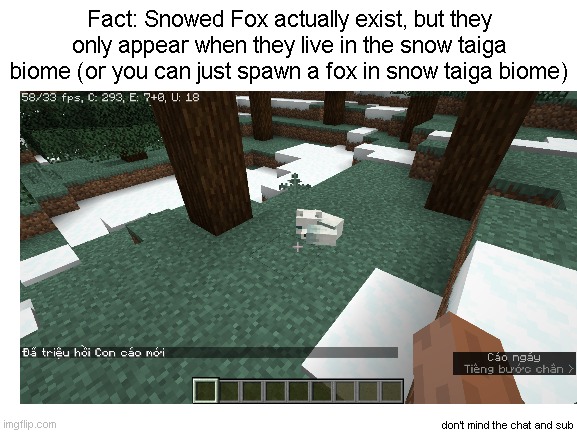 Minecraft Fact for someone don't know | Fact: Snowed Fox actually exist, but they only appear when they live in the snow taiga biome (or you can just spawn a fox in snow taiga biome); don't mind the chat and sub | image tagged in minecraft | made w/ Imgflip meme maker