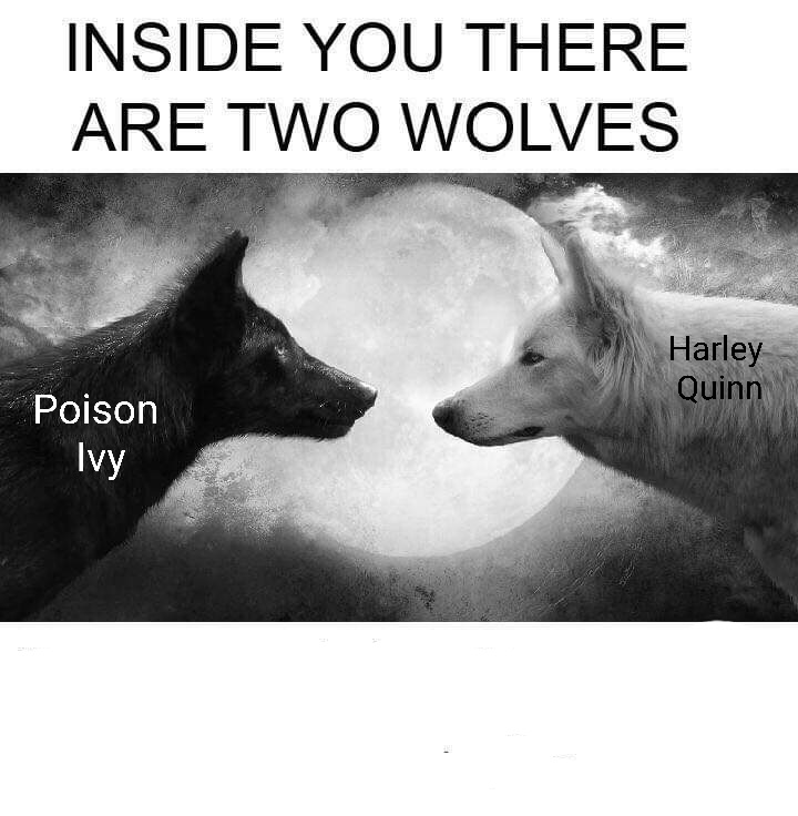 2 wolves Blank Meme Template