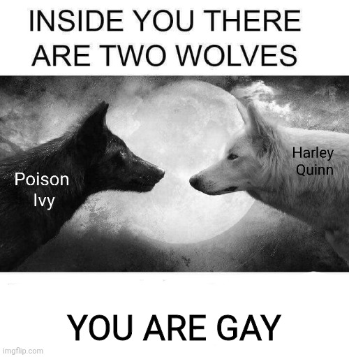 Harlivy | YOU ARE GAY | image tagged in 2 wolves,harley quinn,poison ivy | made w/ Imgflip meme maker