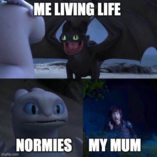 Toothless presents himself | ME LIVING LIFE; NORMIES      MY MUM | image tagged in toothless presents himself | made w/ Imgflip meme maker